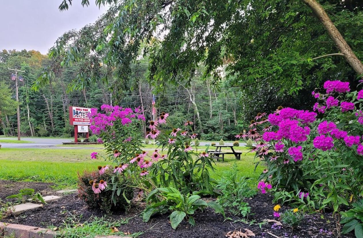 Hill Top Motel Wrightstown Εξωτερικό φωτογραφία